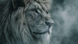 What Is the Biblical Meaning of a Lion in Your Dream?